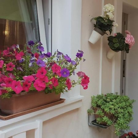 Apartment Asja Old City Center Pula Dış mekan fotoğraf