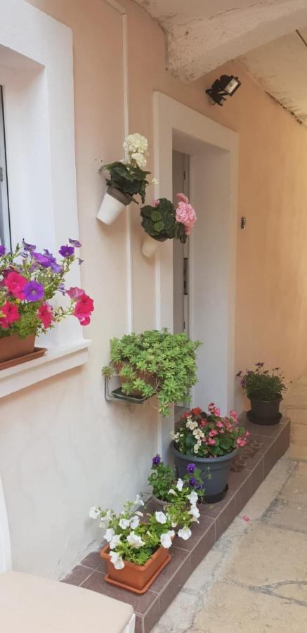 Apartment Asja Old City Center Pula Dış mekan fotoğraf